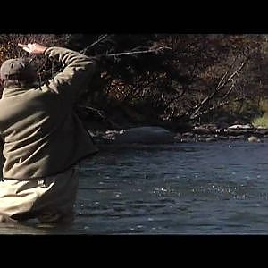 Fly Fishing Colorado: Fall Streamer Fishing For Trout