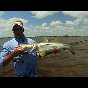 Wading For Treasure - TROUT & SNOOK fishing