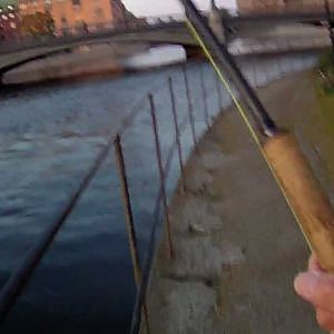 Fly fishing for sea trout in Stockholm, the capital city of Sweden. C&R by John