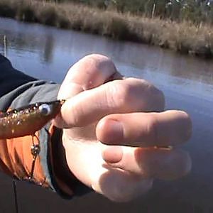 Speckle Trout Fishing in the Winter