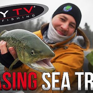 FLY TV - Chasing Sea Trout