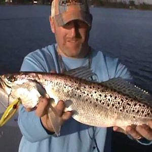 Topwater Speckle Trout