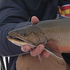 Ice Fishing for Brook Trout, Minden ON - Part 3 of 4