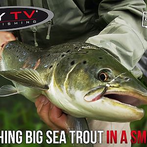 FLY TV - Sight Fishing Big Sea Trout in a Small River