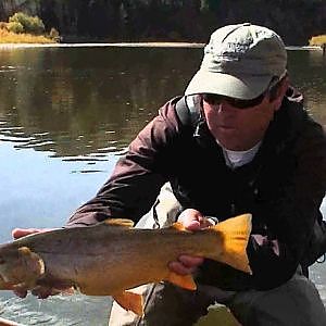 Dry Fly Fishing Colorado Cutthroat, Rainbow and Brown Trout Yampa River October Part 3