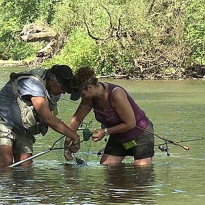 SUMMER TROUT FISHING