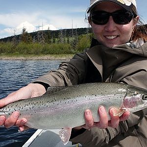 Fishing with Rod: Pretty BC rainbow trout