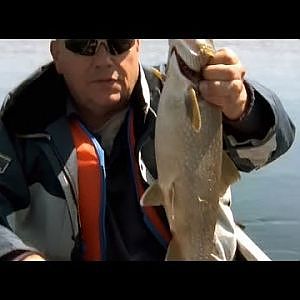 ALGONQUIN PARK - Lake Trout FISHING Success!