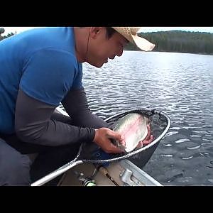 Rainbow Trout Fly Fishing ตกปลาเรนโบว์เทราท์