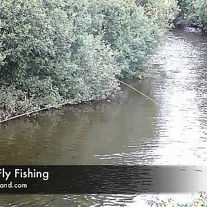 Fly Fishing for trout on the River Nire - Ireland