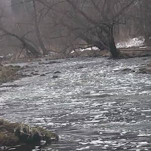 Wisconsin Trout Fishing