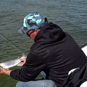 sea trout fishing the florida everglades