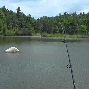 powerbait trout fishing in a farm pond