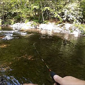 Wild Trout Fishing in the Smoky Mountains