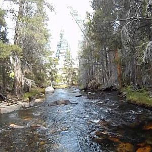 PART II California Trip Fly Fishing Eastern Sierras