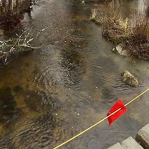 Small Stream Huge trout! - Family Cirlce Flyfishing!