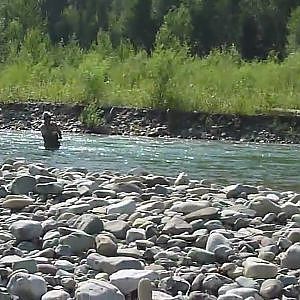 Bull Trout Fly Fishing, Western Canada