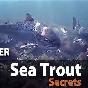 UK vers. Sea Trout Secrets 6 Fly fishing