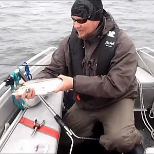 Taimenen kalastusta tyrskyistä Trout fishing at sea in Finland