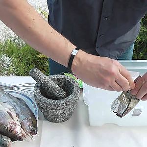 Fische - Forellen räuchern - Räucherofen selbst bauen