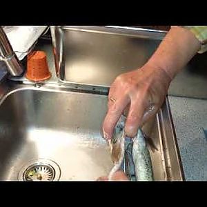 Forellen räuchern mit selbstgebautem Räucherofen