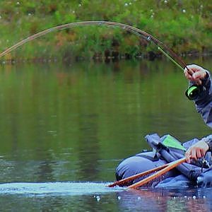 Riesien Bachforelle auf Trockenfliege - Doppeldrill / Gigant Browntrout on dry fly - double