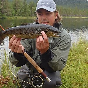 Fliegenfischen auf Bachforellen in Schweden /  Flyfishing Browntrout in Sweden