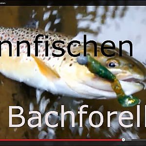 Spinnfischen auf Bachforellen