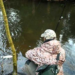 Bachforelle 40 cm im Bach Nähe Hamburg Team Extreme Fishing