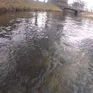 Eine Bachforelle zieht davon - GoPro Unterwasser Release