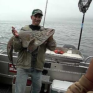 Big 50 LB plus Ling Cod