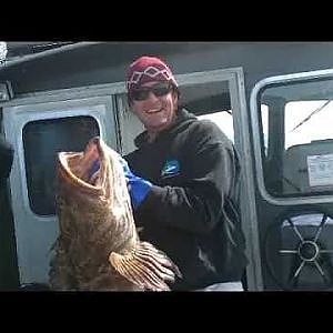 Trophy Alaska Lingcod Fishing