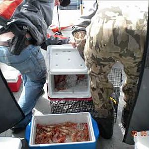 San Juan Islands  shrimping and lingcod fishing