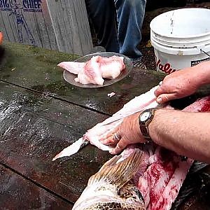 how to fillet a ling cod