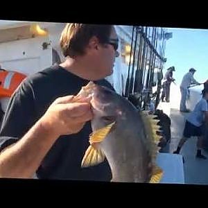 Fishing with Kevin Brannon - Reel Anglers Fishing Show - Channel Islands Sportfishing