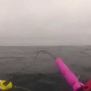 Ling Cod fishing