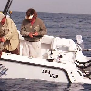 Shark Attacks Yellowfin Tuna while Live Bait Fishing - Jose Wejebe / Spanish Fly TV