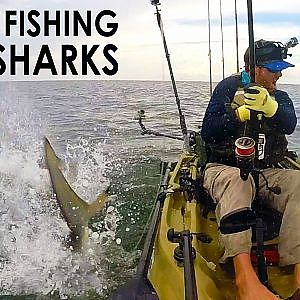 Kayak Fishing: BIG Sharks Offshore