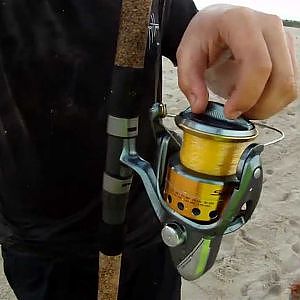 How To Catch Sharks From The Beach!