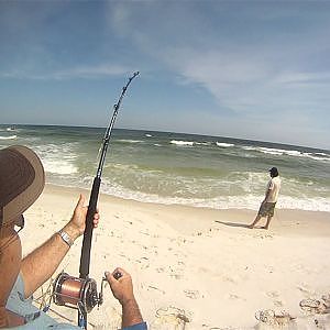 7 ft Bull Shark Caught in Pensacola Florida