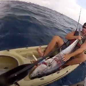 HUGE KING & SHARK ATTACK on KAYAK...