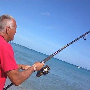 Blacktip Shark Caught from Shore