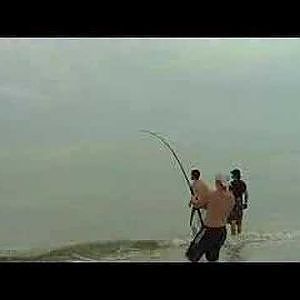 Shark Fishing on Sanibel