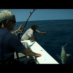 Fan Favorite: Serious Shark Fishing | River Monsters