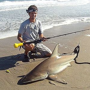 Big Blacktip Shark at Sebastian