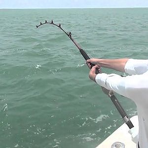 Miami Fishing Camp, Kids Catching Sharks