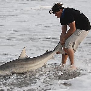 Shark Fishing from the Jetty - ft. InfinityFishingTeam