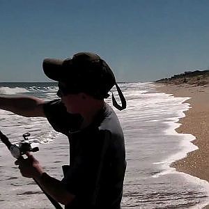 Surf Fishing for Bonnethead Sharks and Blacktip Sharks