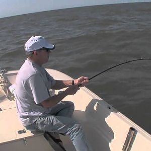 SHARK FISHING - Dad catches a 7 foot Sand Tiger