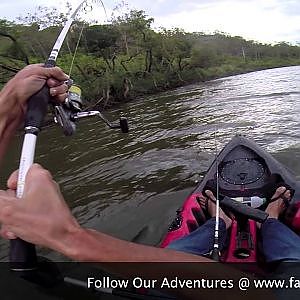 Brisbane River Bull Sharks On Dragon Kayaks